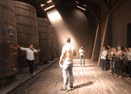 サンタカロライナセラー