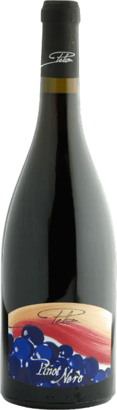 Pinot Nero - Pelz