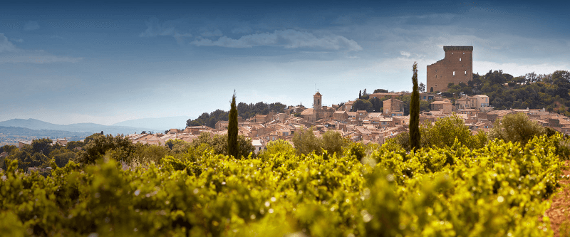 セリエ・デ・プランス・テロワール