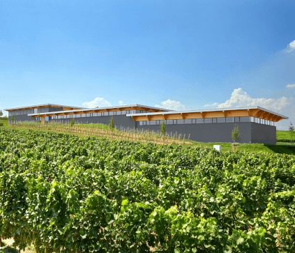 ドライジッガー醸造所 ドライジッガー醸造所