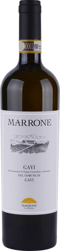 プレビュー: ガヴィ・ディ・ガヴィの多様性を発見 - 6倍テイスティングパッケージ