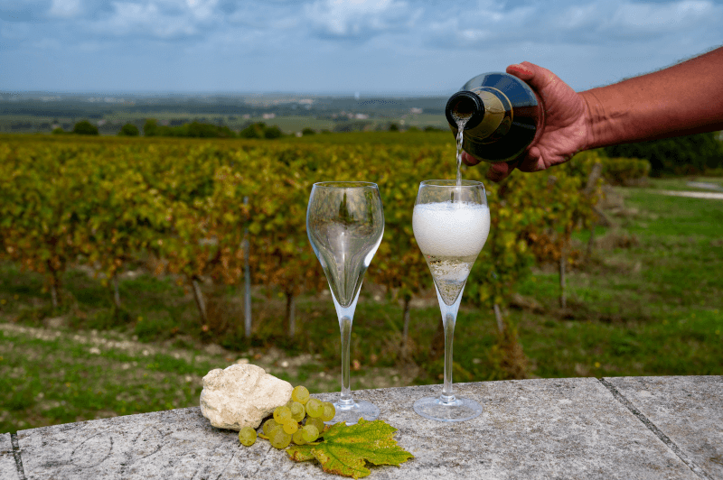 2つのグラスのブラン・ド・ブランを注ぐ 2つのグラスのブラン・ド・ブランを注ぐ