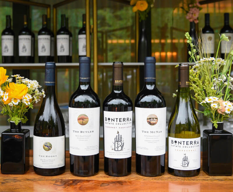 weingut-bonterra-weinberg-2