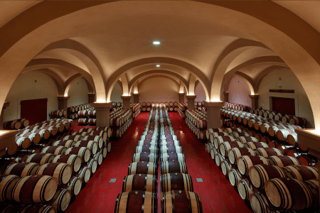 テヌータ・アルヘンティエーレのセラー