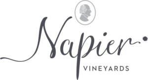 Napier Vineyards