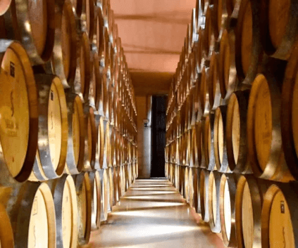 セグナーナ付近の樽