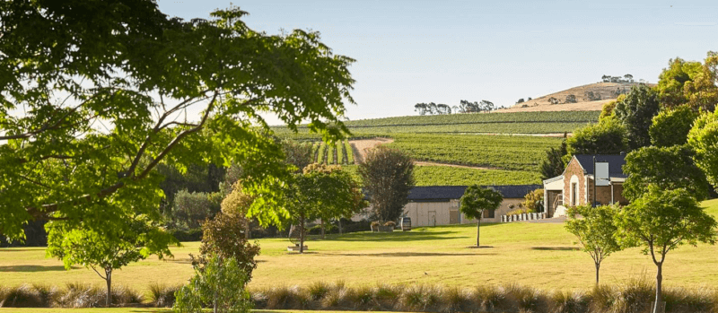 ワイナリー全景 ワイナリー全景