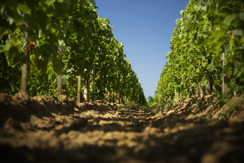 ジャン・バティスト・オーディ・モンレガード ジャン・バティスト・オーディ・モンレガード