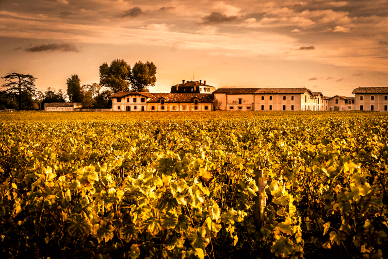 ワイナリー全景 ワイナリー全景