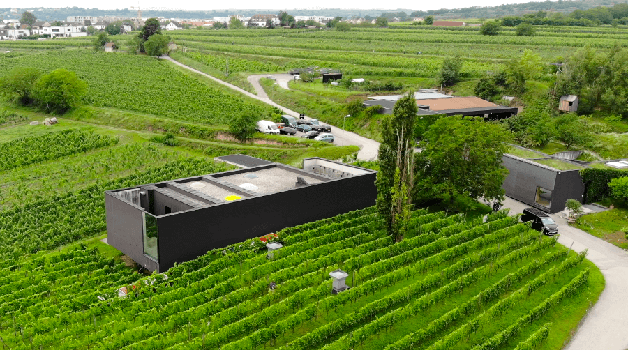 上空から見たロイマーワイナリー