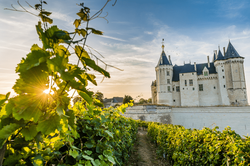 クリマン・ド・ロワールの中心地サンュールのシャトー