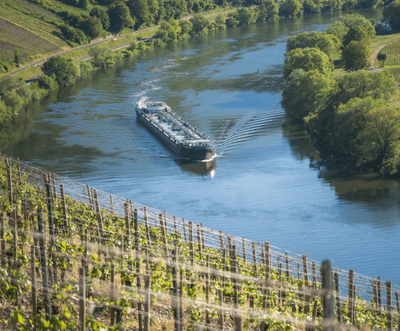 グラン・ファジアン・ヴィンヤード グラン・ファジアン・ヴィンヤード