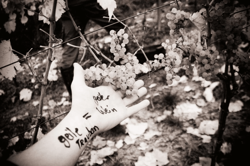 エスペンシアード哲学の核心に迫る