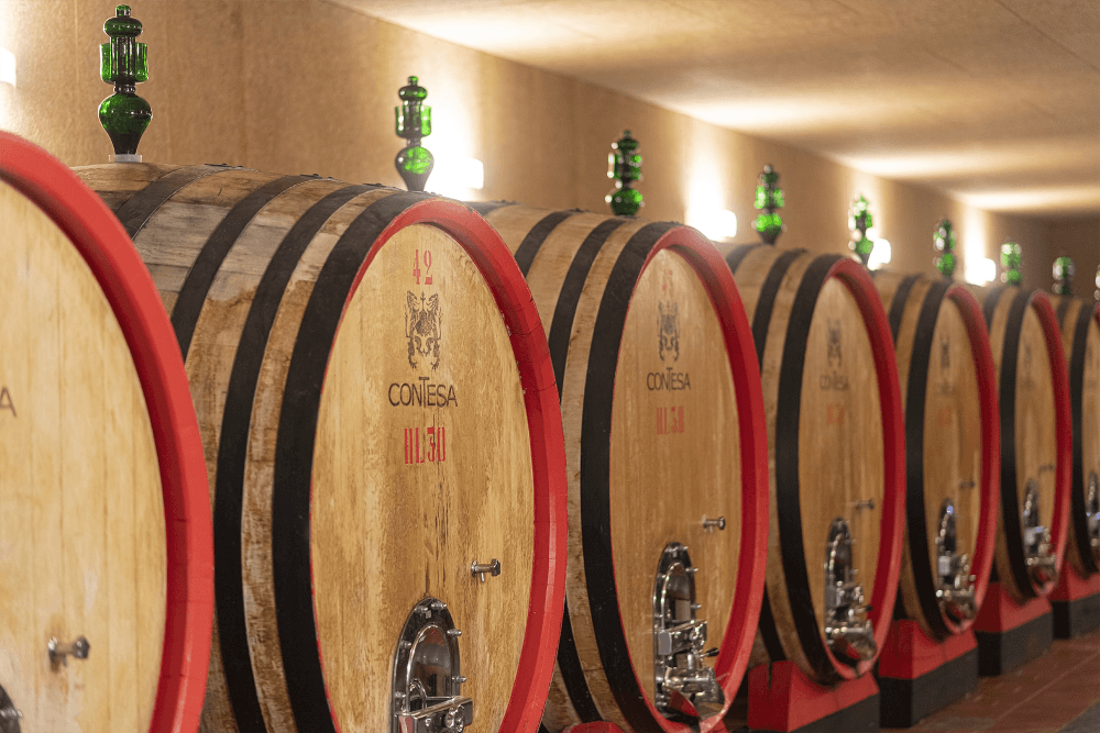 コンテサ・ワインセラー