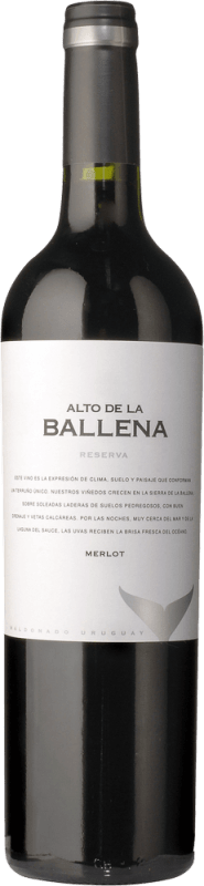 Merlot Reserva - Alto de la Ballena