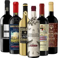 プリミティーボのスタイリッシュなハイライト 6個セットのギフトパッケージ（VINELLO製）