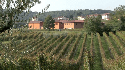 モンジオ・コンパニョーニ農園 モンジオ・コンパニョーニ農園