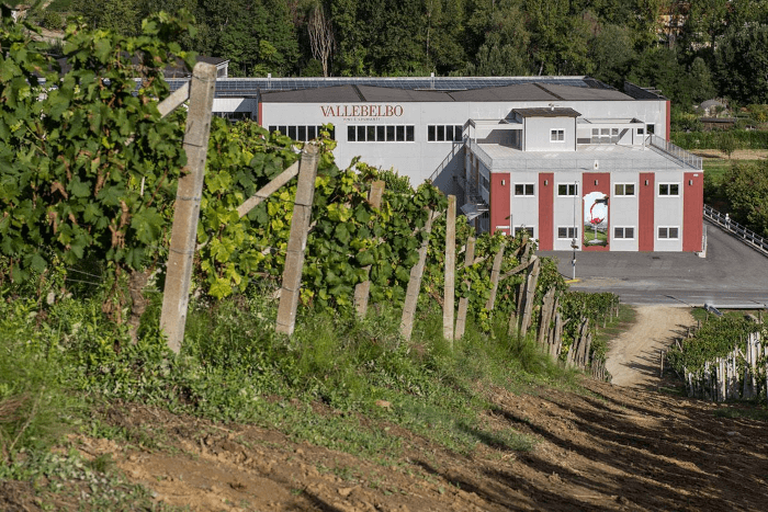 ヴァレベッロ・ワイナリー ヴァレベッロ・ワイナリー