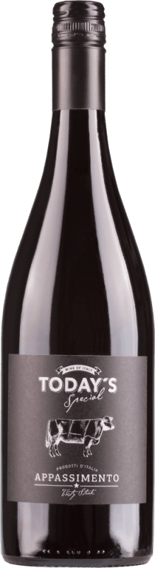 Today's Special Appassimento Puglia IGT - Globus Wine