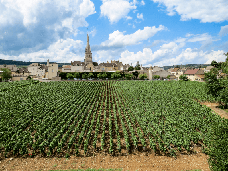 ムルソーの眺め