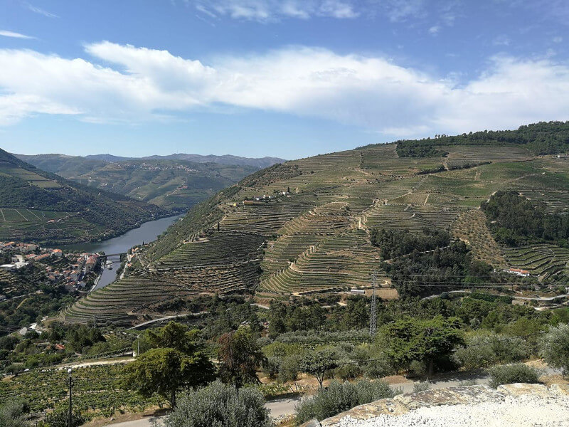 weingut-casal_dos_jordoes-weinberg weingut-casal_dos_jordoes-weinberg