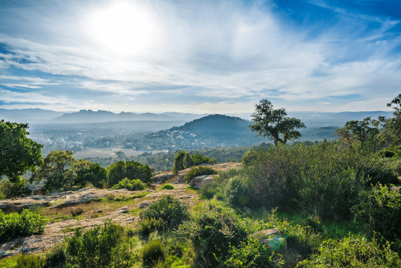 ドメーヌ・テール・ド・トラモンターヌ プロヴァンス