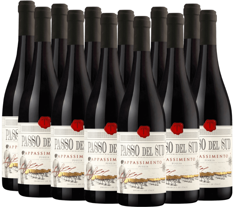 タガロ SLR「パッソ・デル・スッド アパッシメント プーリア IGP」12本お得パック