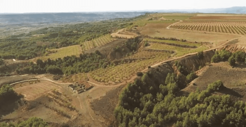 ミエド周辺の地域