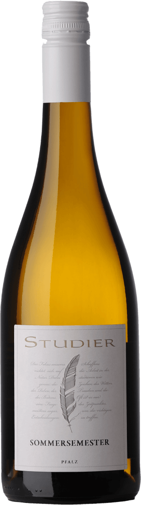 プレビュー: 6er Kennenlern-Weinpaket - Das Grundstudium vom Weingut Studier