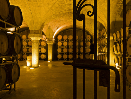 ワイナリー ヴィラ・スパリーナ セラー ワイナリーヴィラースパリーナケラー