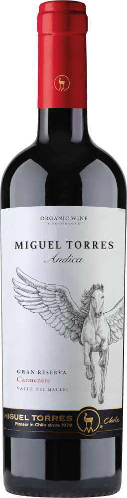 プレビュー: 6er Probierpaket - Chiles großer Star - Carménère