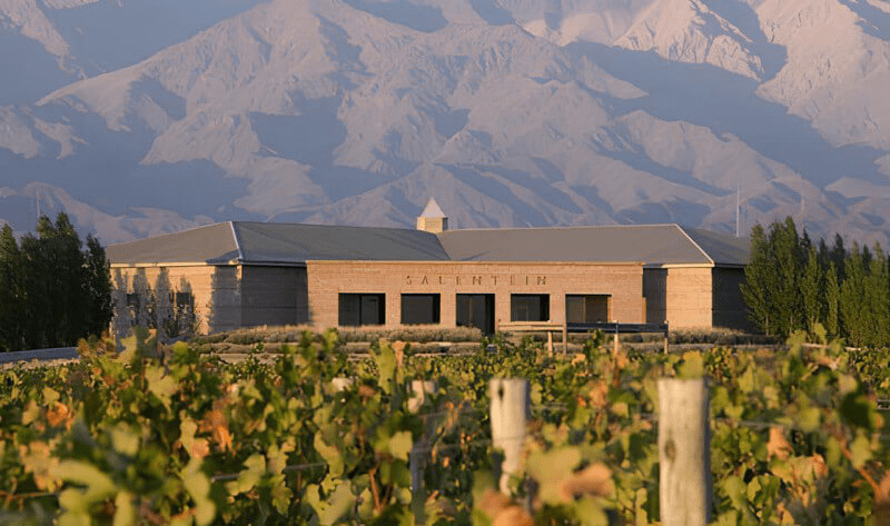ボデガス・サレンティン ワイナリー ボデガス・サレンティン ワイナリー