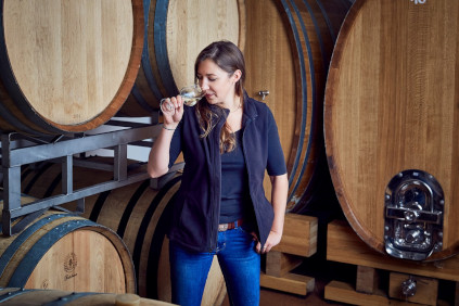 ヴィクトリアは、レルゲンミュラーのワイナリーに属するサンクト・アンナバーグのブドウ畑で独自の道を歩んでいる。 ヴィクトリアは、レルゲンミュラーのワイナリーに属するサンクト・アンナバーグのブドウ畑で独自の道を歩んでいる。