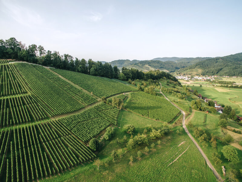 Strohbacher Martinsberg