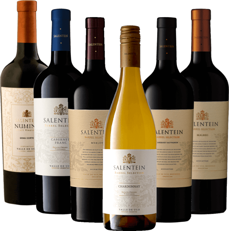 メンドーサの魂とサレンテインワイナリー - 6本試飲セット