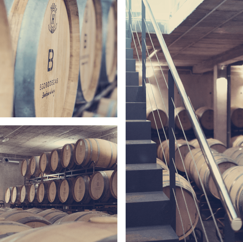 ボデガ・エゴのワインセラーにて ボデガ・エゴのワインセラーにて