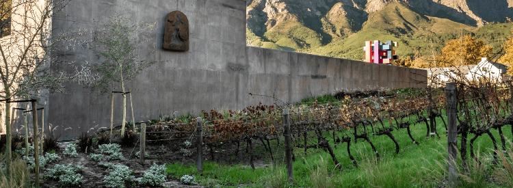 Boekenhoutskloof のワインセラー