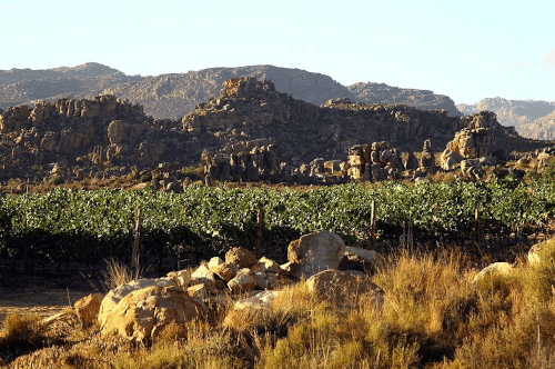セーデルベルクのごつごつした岩肌