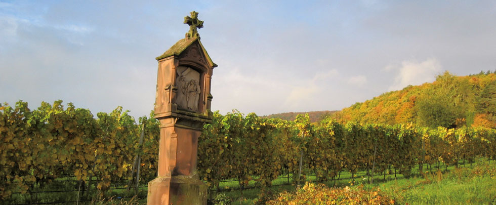 ハインフェルト近郊のレルゲンミューラーワイナリー ハインフェルト近郊のレルゲンミューラーワイナリー