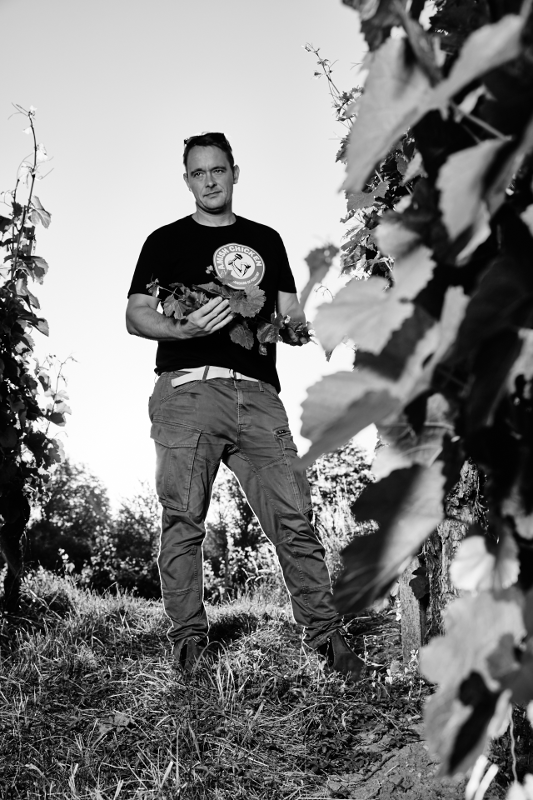 ブドウの木を手にするワインメーカーのシュタール氏 ブドウの木を手にするワインメーカーのシュタール氏