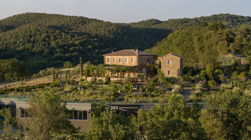 ワイナリー テヌータ・ルーチェ