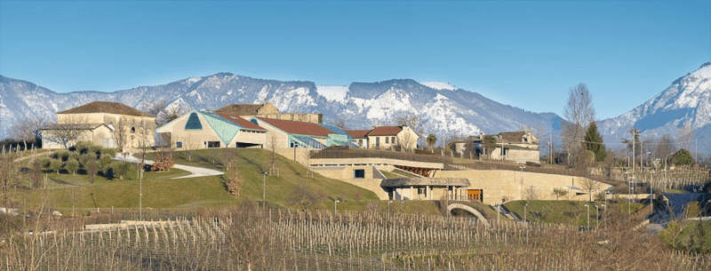 Ansicht der Masottina-Kellerei