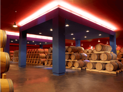 シャトー・ベルグレーヴのセラー