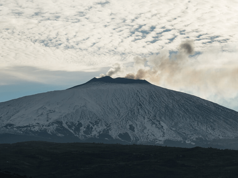 火山の斜面を利用したブドウ栽培