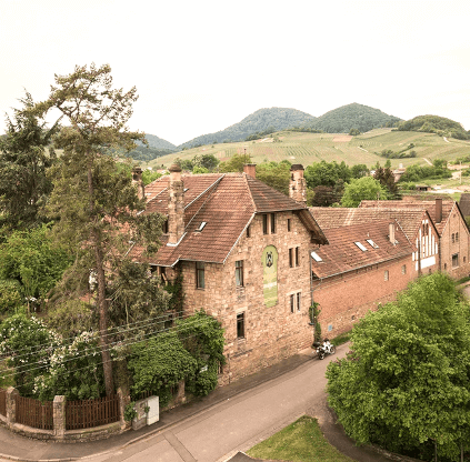 ワイングート・ドクター・ヴェアハイム