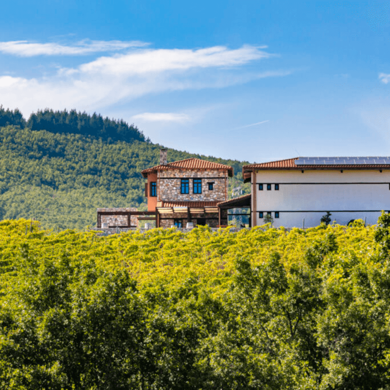 Akrathos Newlands Winery Landschaft Akrathos Newlands Winery Landschaft