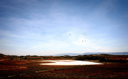 カラバルセカ湖 カラバルセカ湖