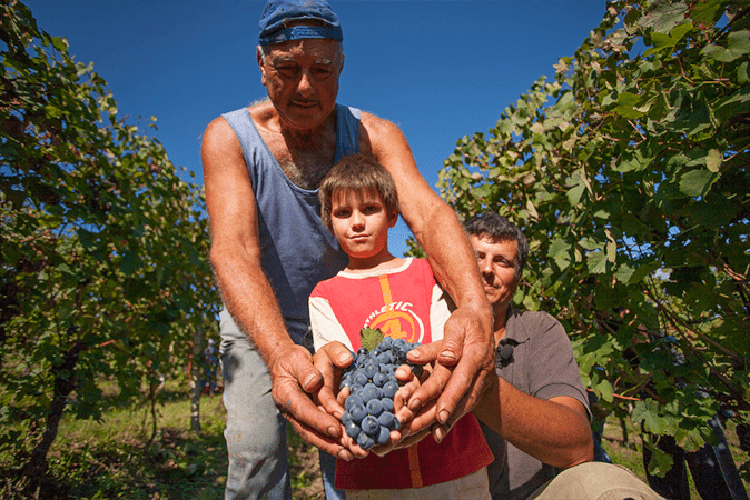 ヴァイト・コルテファミリー