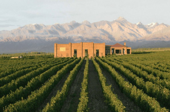 アンデルナ_アルゲニンタ