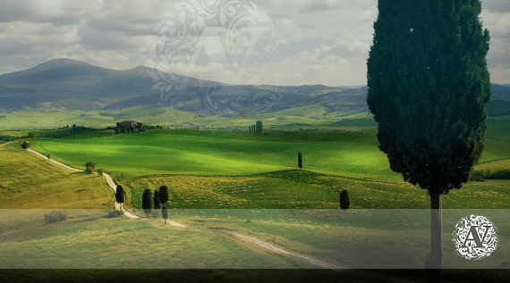 アヴィニョーネシ